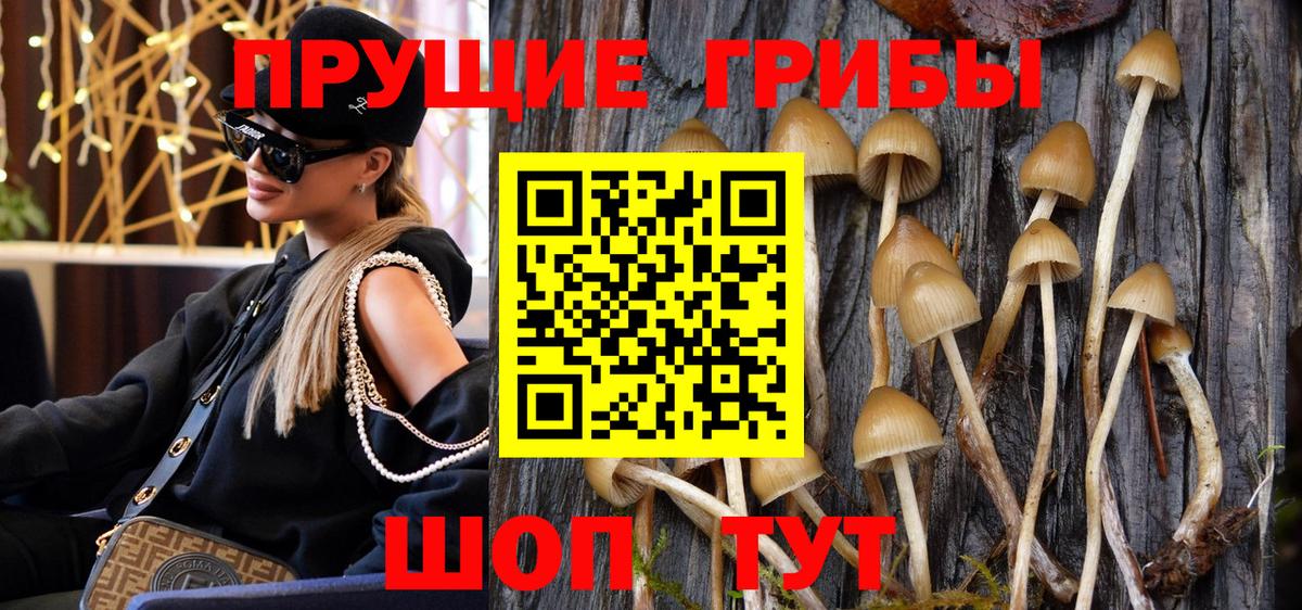Волгодонск  Псилоцибиновые грибы мицелий  как найти закладки  Вход с VPN  Галлюциногенные грибы GOLDEN TEACHER 