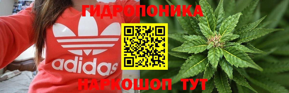 Шишки марихуана THC 21% Волгодонск